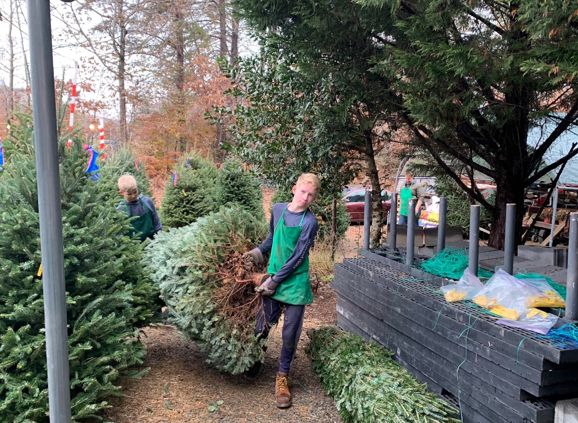 Jacob Bounds grew up helping his family package and move Christmas trees at their Christmas tree farm. (Photo by Jacob Bounds) 